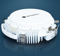 PTP 800